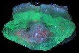 Botryoidal Hyalite Opal with Chalcedony - Mexico #266378-1